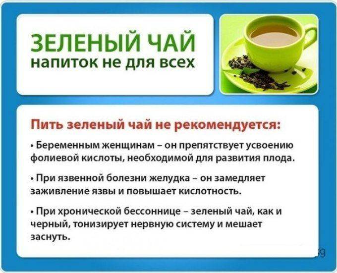 Зелёный чай: польза и вред популярного продукта для женщин