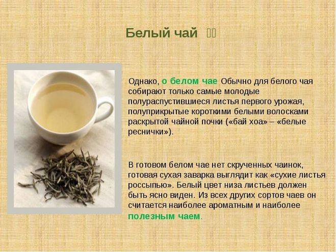 “чем полезен черный чай? свойства и противопоказания популярного напитка”