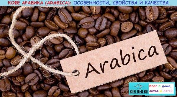 Виды кофе: арабика, либерика, робуста и другие