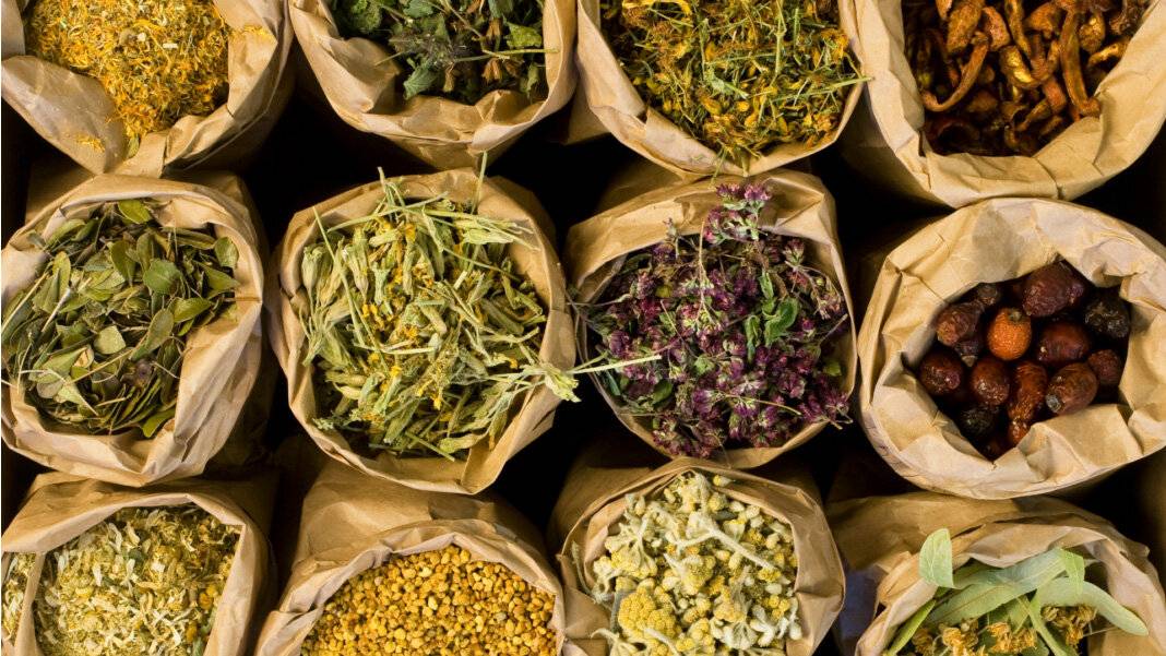 Лучший травяной чай: рецепты. в домашних условиях как приготовить лечебный чай