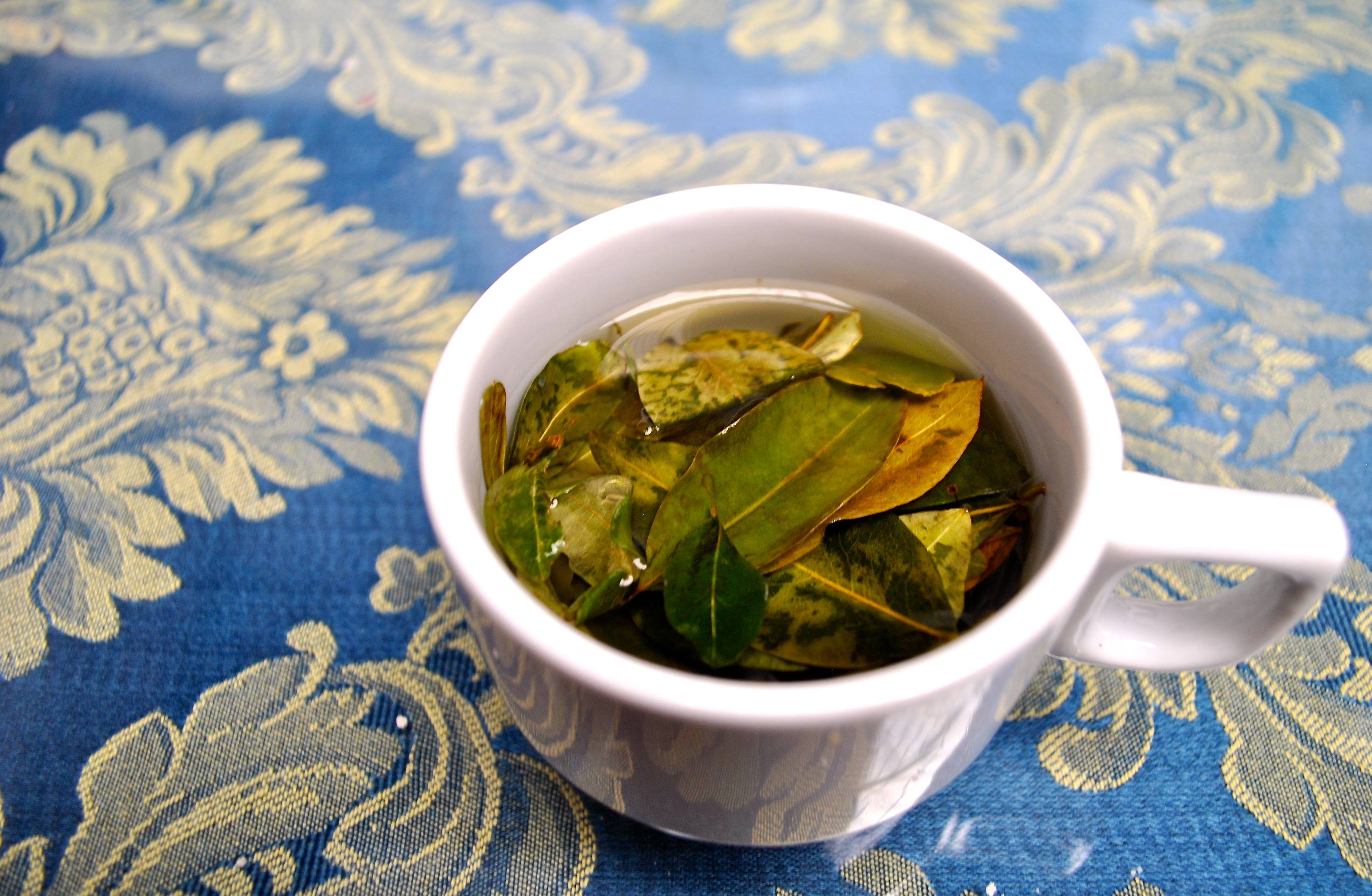 Чай из папайи: вкусный или полезный? применение чая
