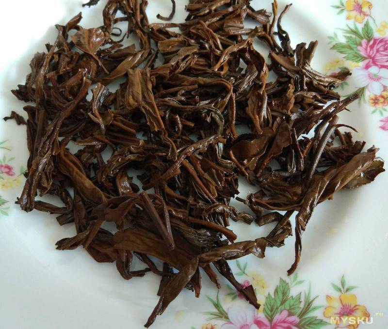 Ветки смородины — лечебные свойства, как заваривать чай из веточек