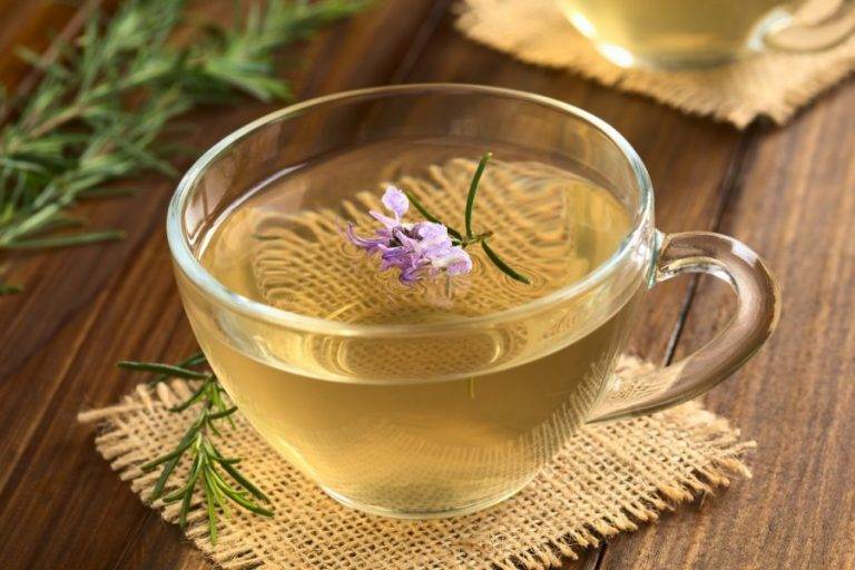 Чай с розмарином: полезные свойства и рецепты