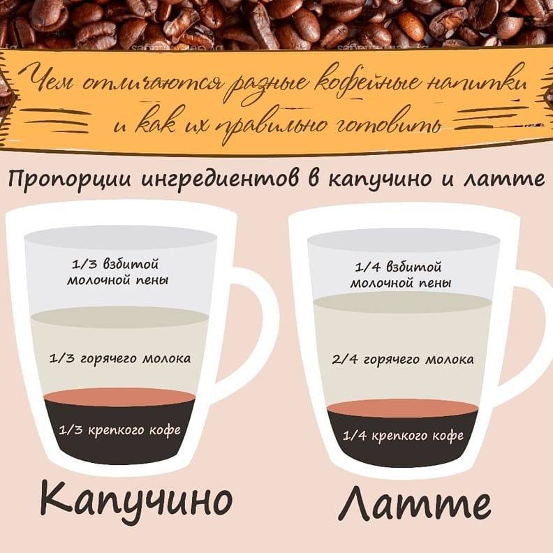 Отличия между кофе и какао: растение, состав и какая часть речи?