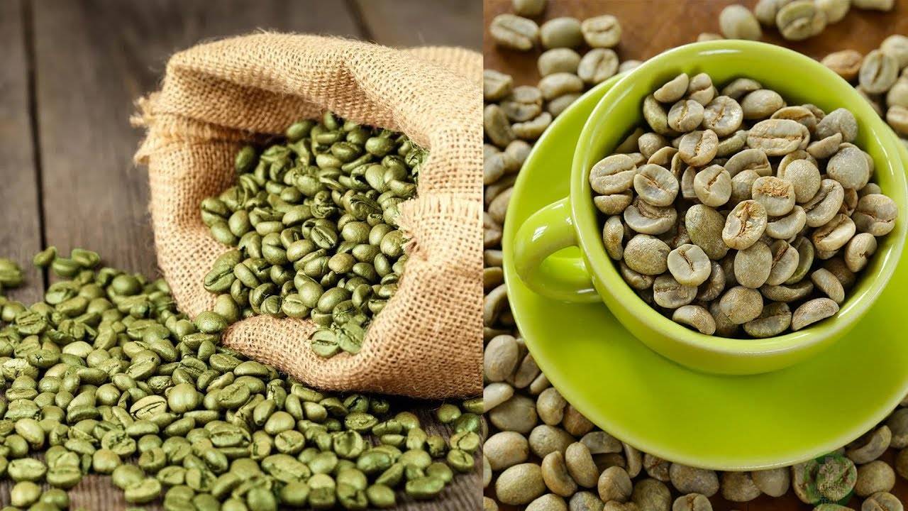 Польза и вред зеленого кофе