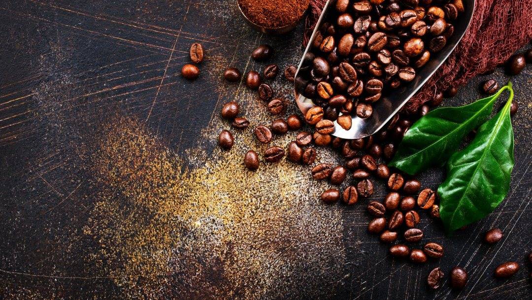 Кофе марагоджип: описание сорта, вкус, виды, особенности