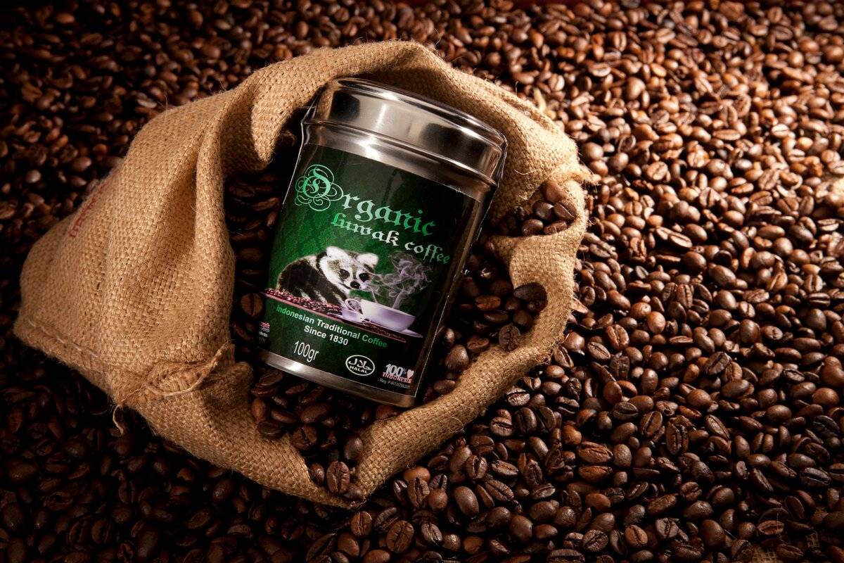10 самых дорогих сортов кофе в мире