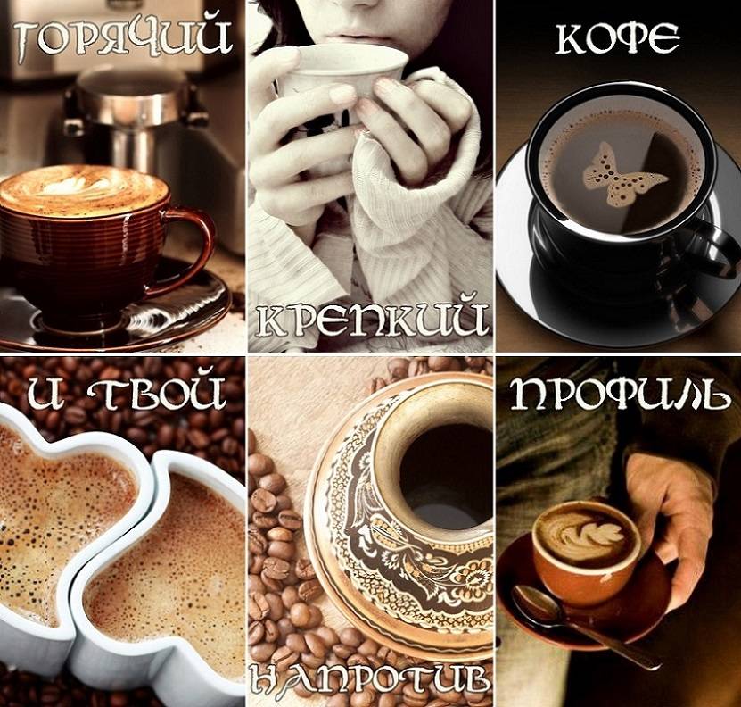 История создания сети "правда кофе"