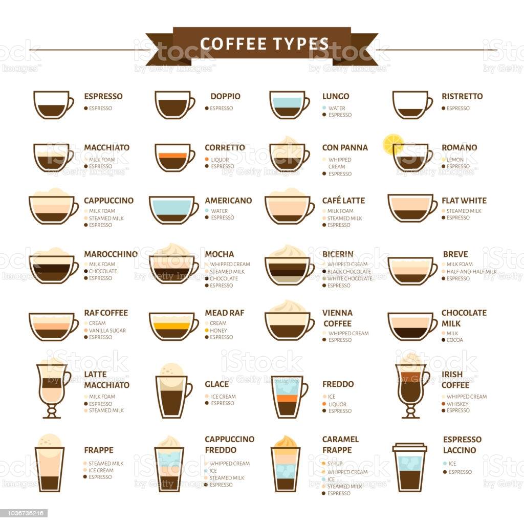 Виды кофе и их описание – классификация по разным признакам