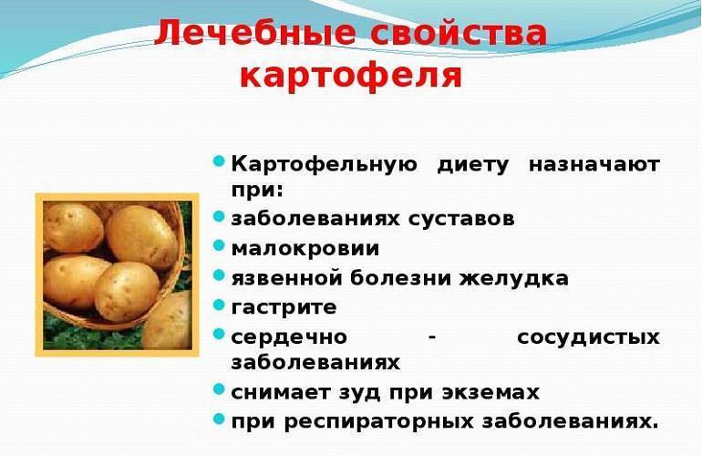 Отвар картофеля польза и вред