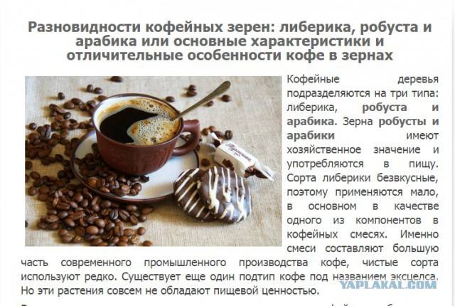 Топиарий из кофейных зерен | все о кофе