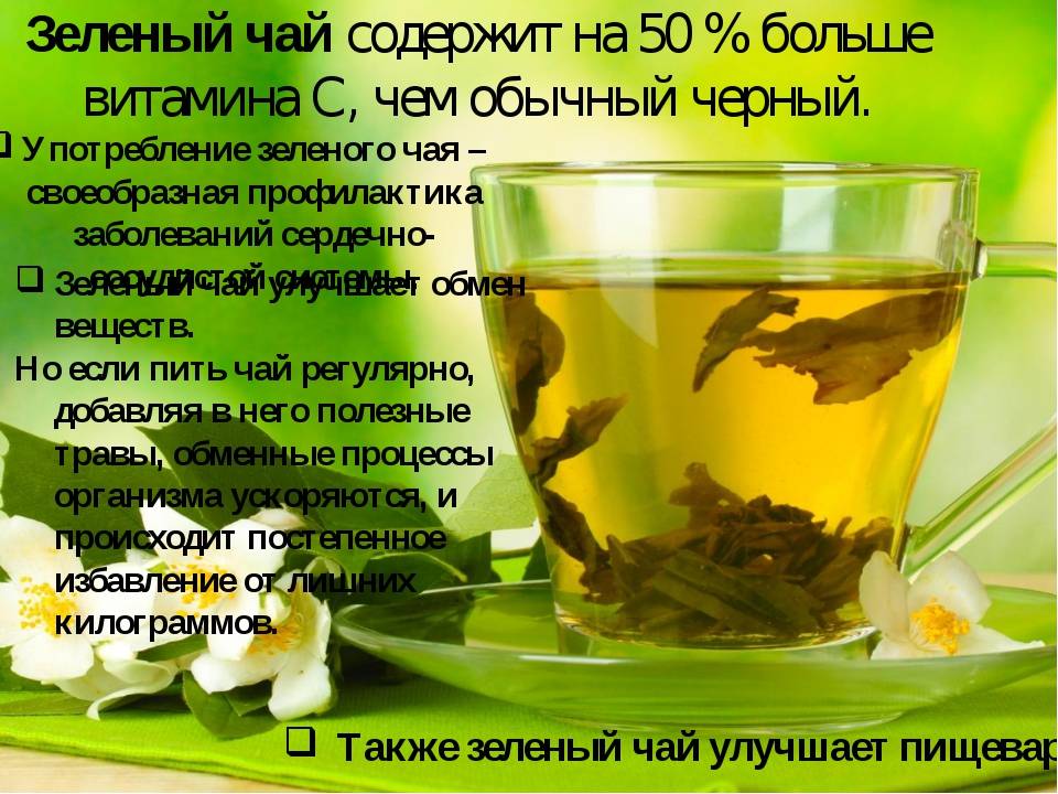 Зеленый чай польза и вред для женщин