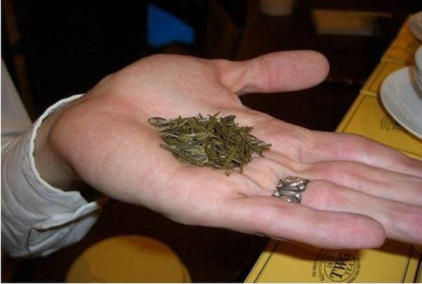 Самый дорогой в мире чай: где он произрастает, как называется