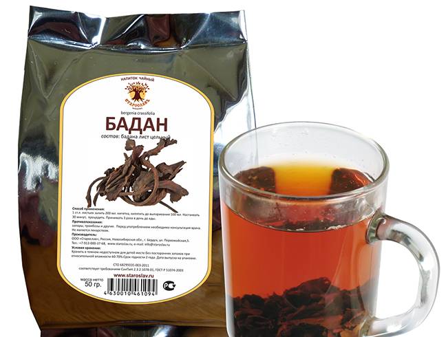Чай из бадана лечебные свойства и противопоказания