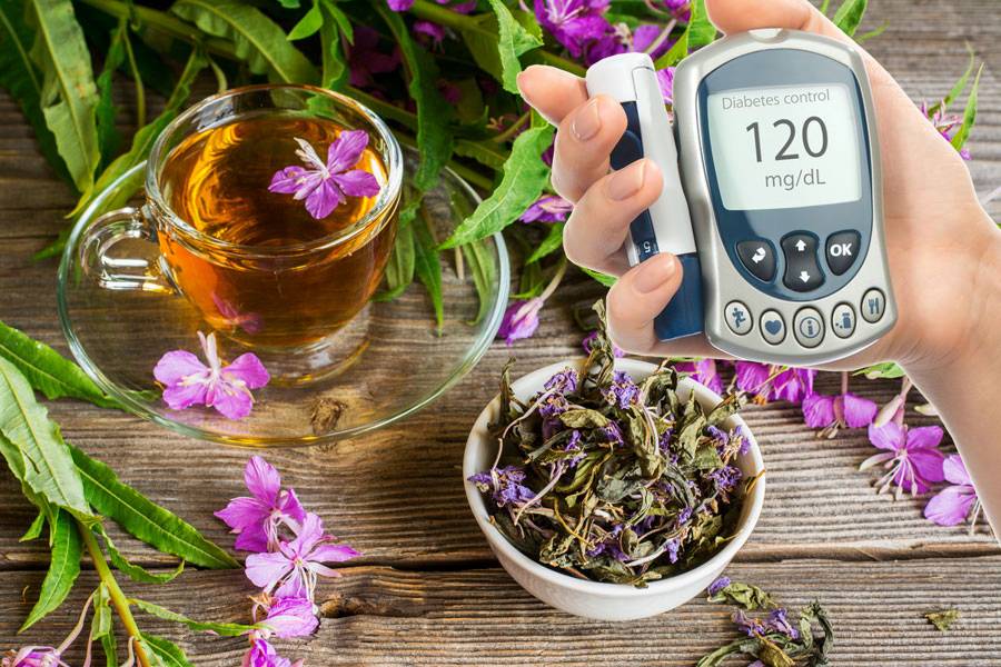 Иван-чай при диабете 1 и 2 типа: польза и противопоказания
