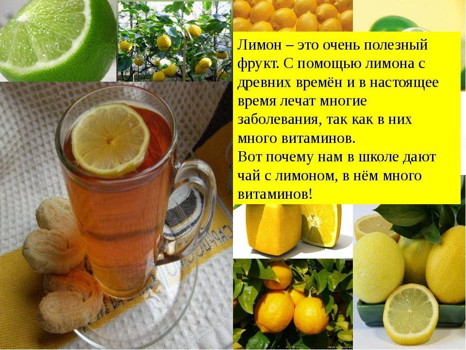 Рецепты натурального фруктового чая