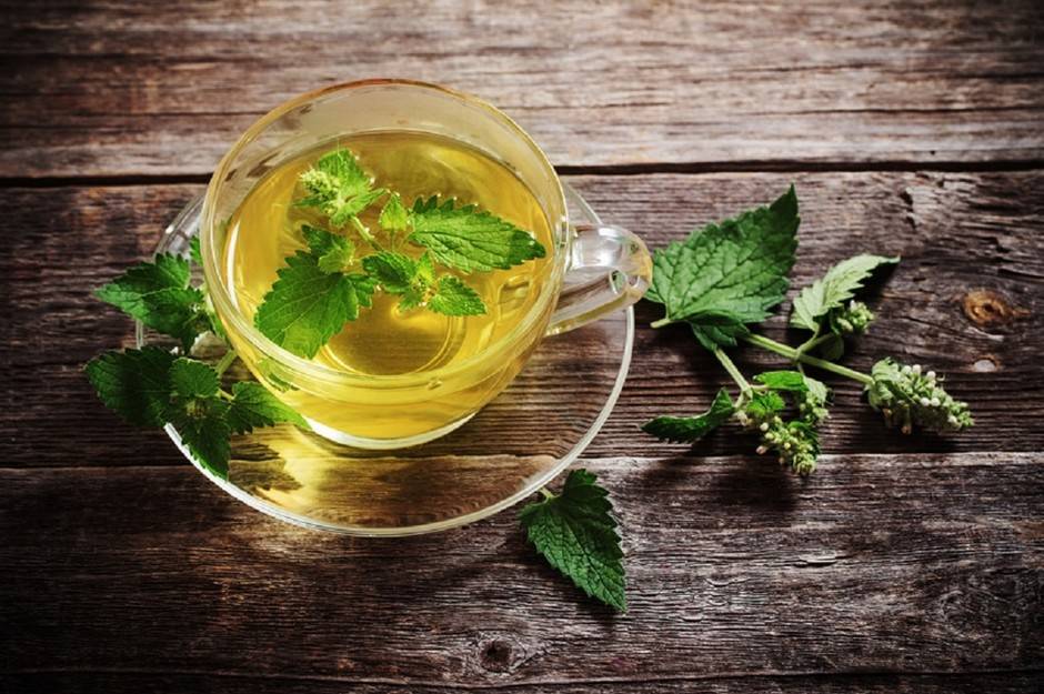 Зеленый чай с мелиссой | здоровый дом