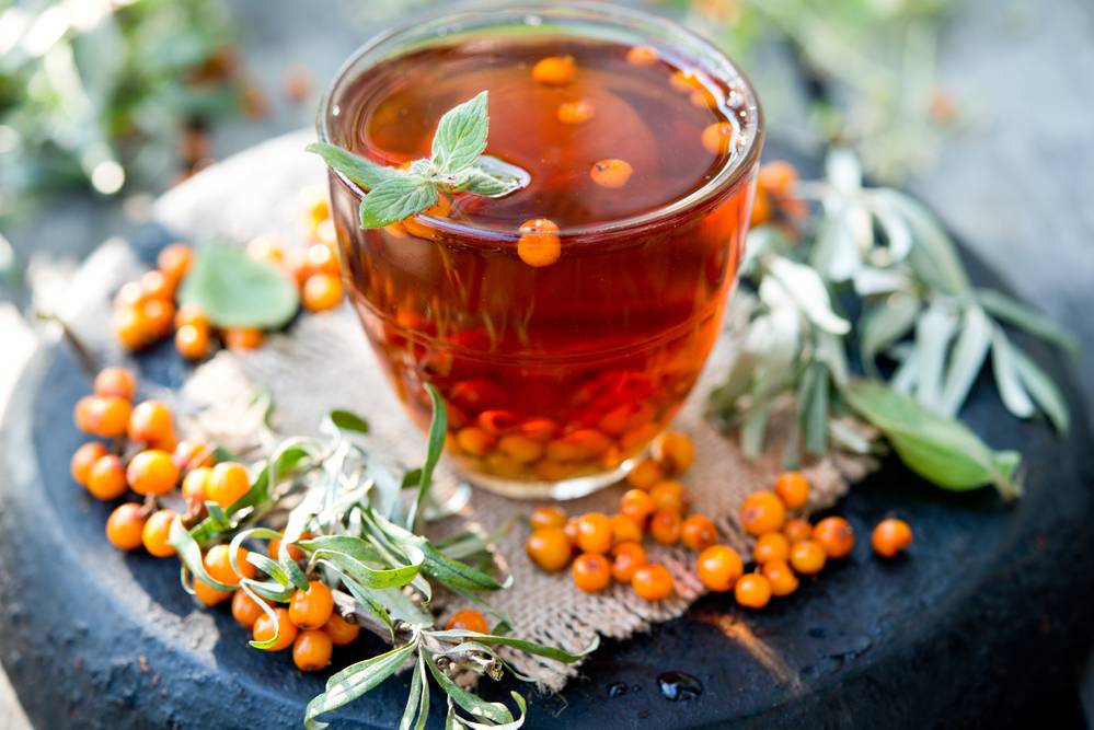 Облепиховый чай: польза для души и тела + лучшие рецепты