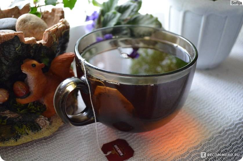 Чай с мятой: польза и рецепты с чабрецом, имбирем, лимоном, смородиной и другими добавками - red fox day
