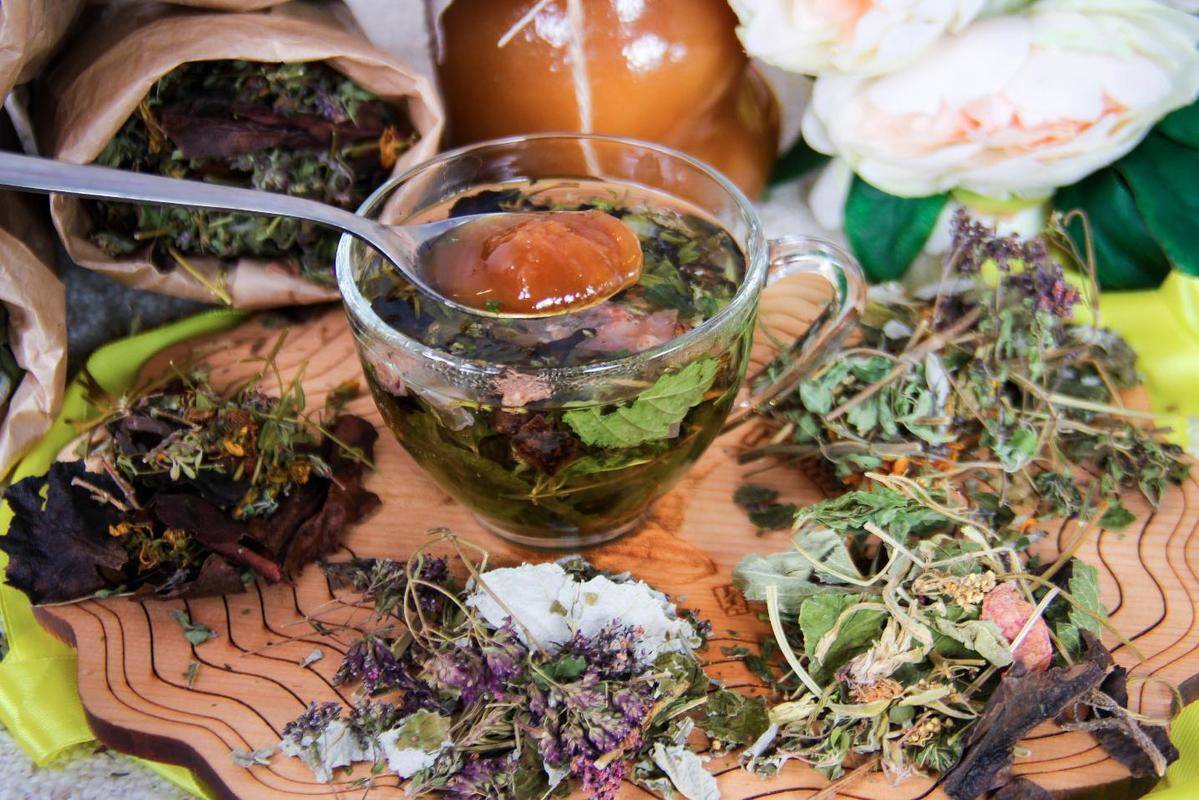 Травяные чаи - витаминные и лечебные - особенности приготовления, польза, рецепты