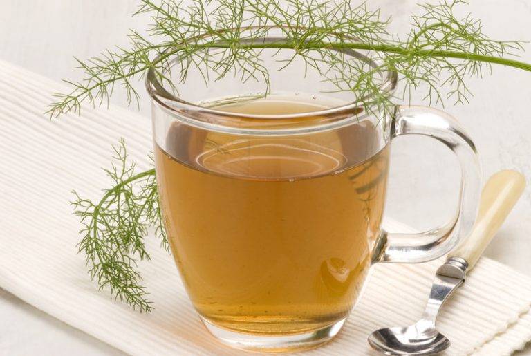 Чай с фенхелем полезные свойства, противопоказания, как заваривать
