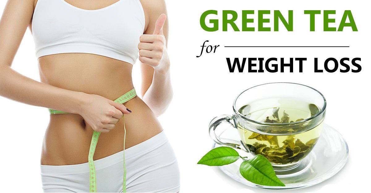 Как правильно пить зеленый чай чтобы похудеть