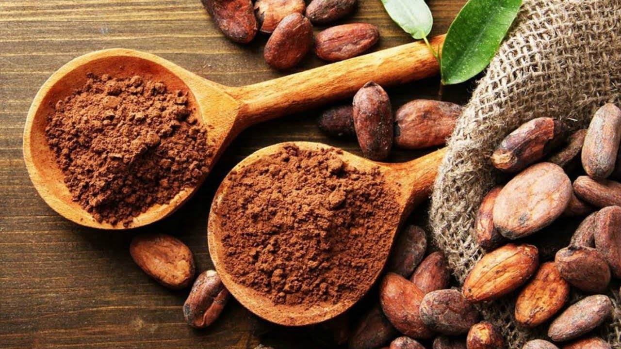 Чем полезно какао с молоком для женщин и мужчин: свойства для взрослого и детского организма