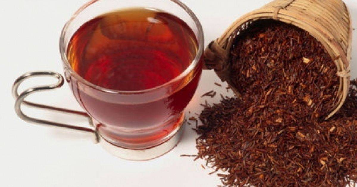 Чай ройбуш — африканский напиток из красного куста