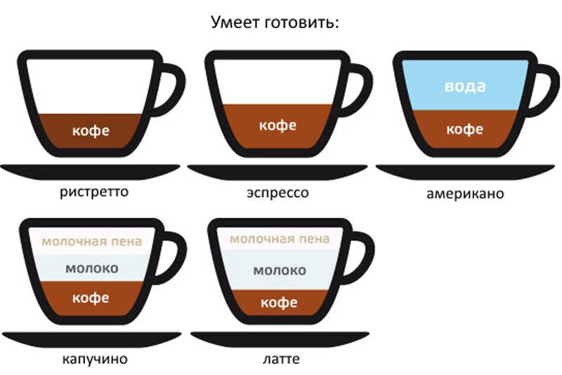 В чём отличия между популярными видами кофе? эспрессо, капучино, латте и другие