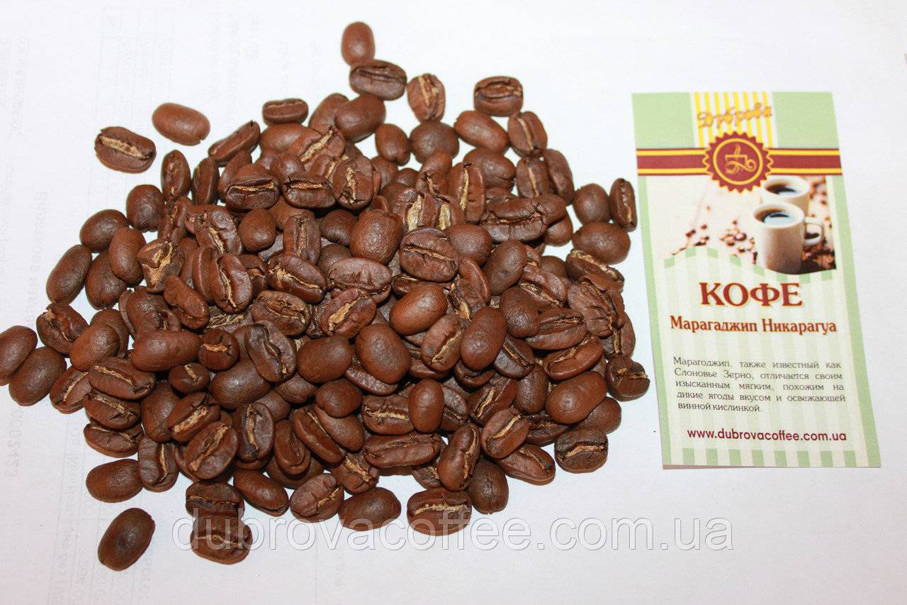 Чем отличается кофе мокко от арабики | портал о кофе