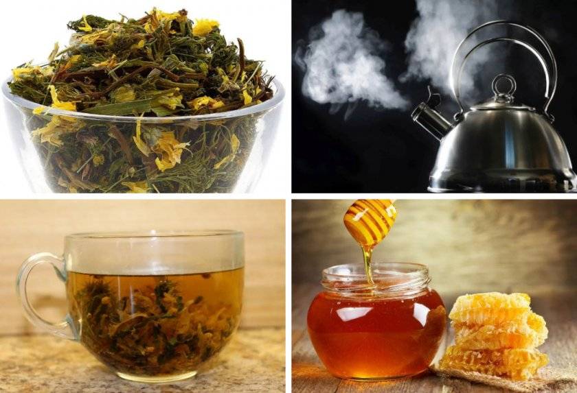 Чай из листьев оливы – полезные свойства, рецепты