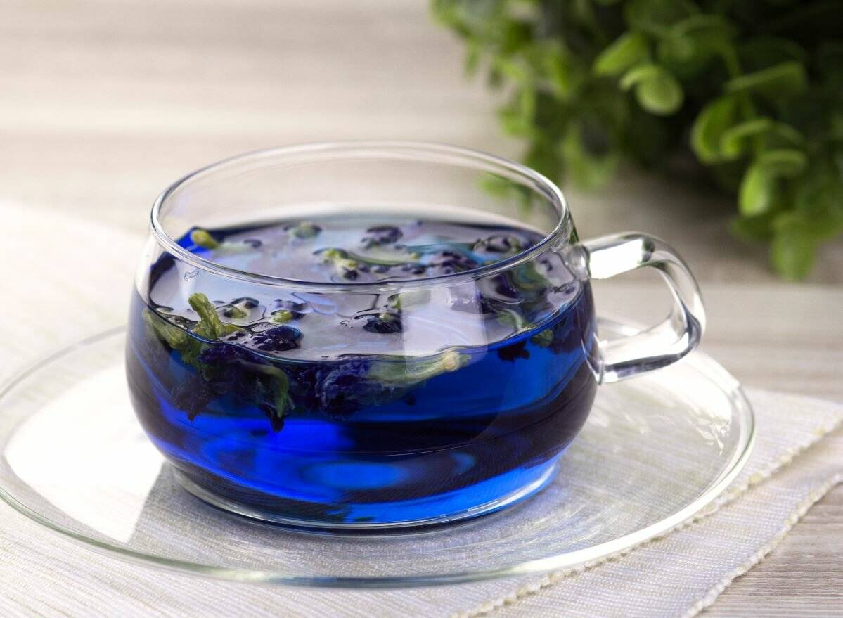 Синий чай из тайланда полезные свойства отзывы :: польза и вред