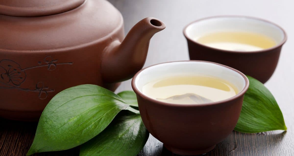 Зеленый чай c молоком для похудения