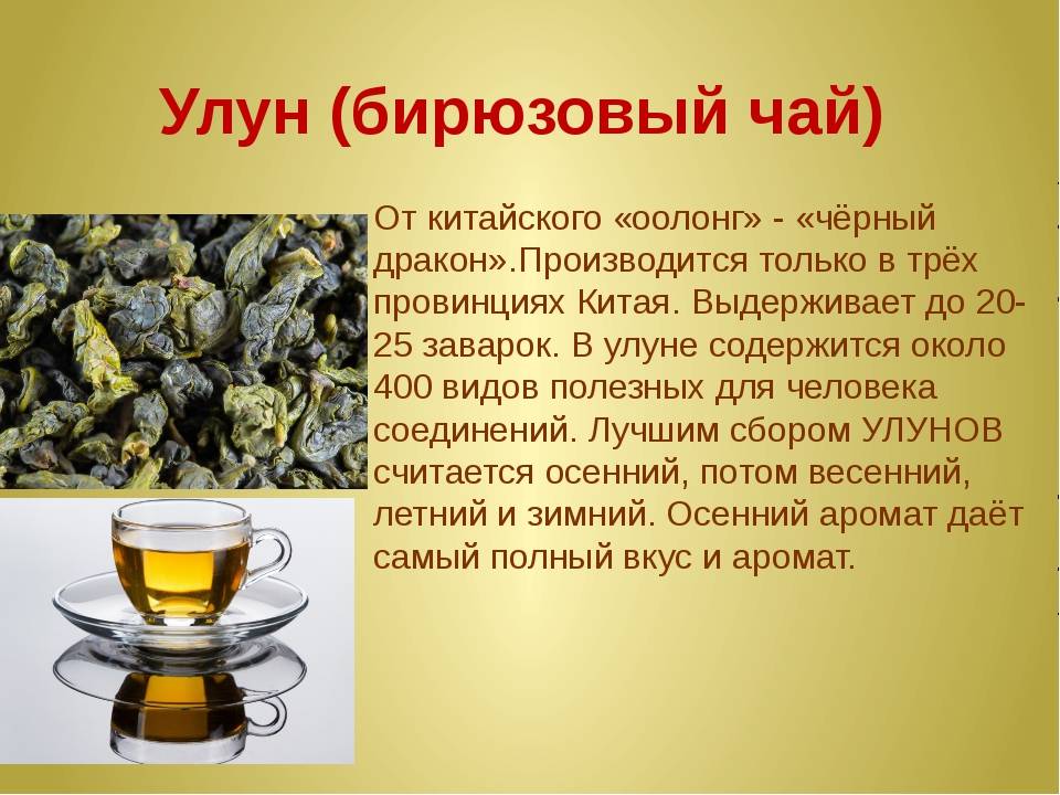Желтый чай: свойства, состав, способ приготовления