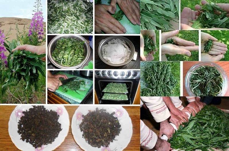 Травяные чаи своими руками на каждый день - рецепты сборов