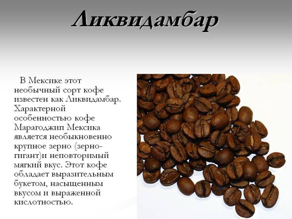 Эфиопский кофе: история, сорта, производство