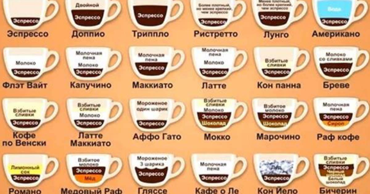 Каким бывает кофе: всевозможные классификации и виды кофейных напитков