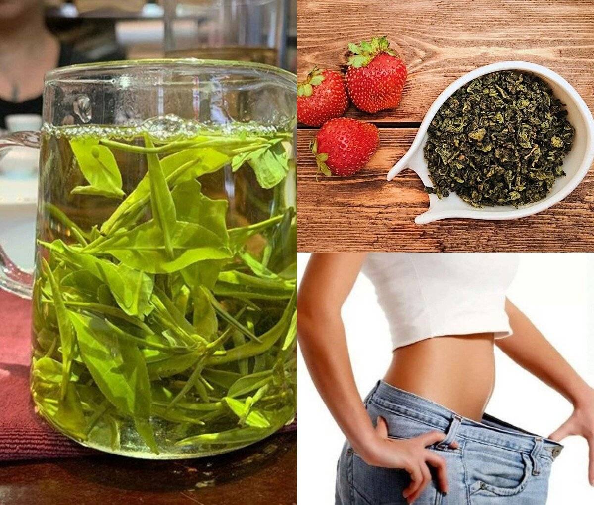 Чем полезен зеленый чай и в каких случаях он вреден?