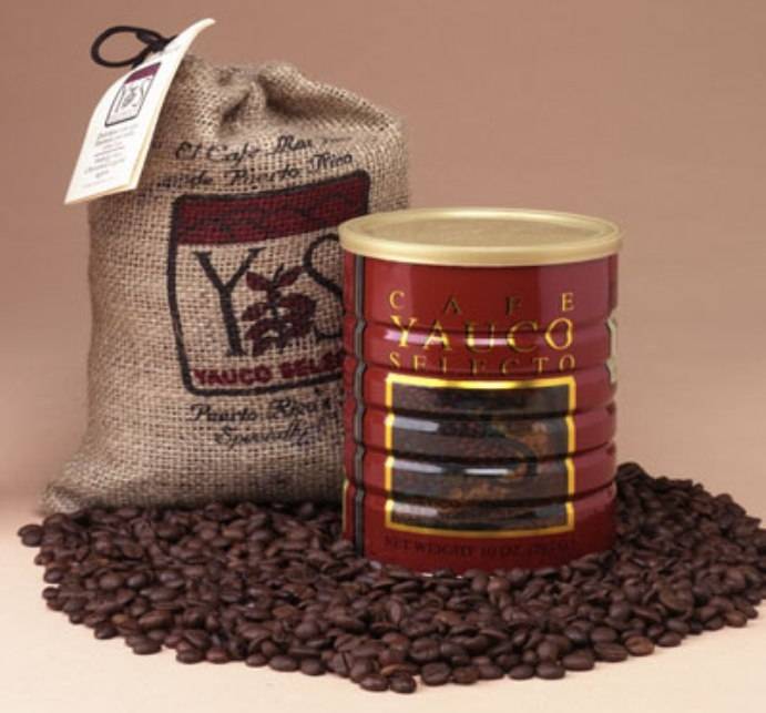 Вкусный  кофе можно попробовать  в  вене, мельбурне, сиэтле,  сингапуре, риме, лондоне,  рейкьявике и веллингтоне.