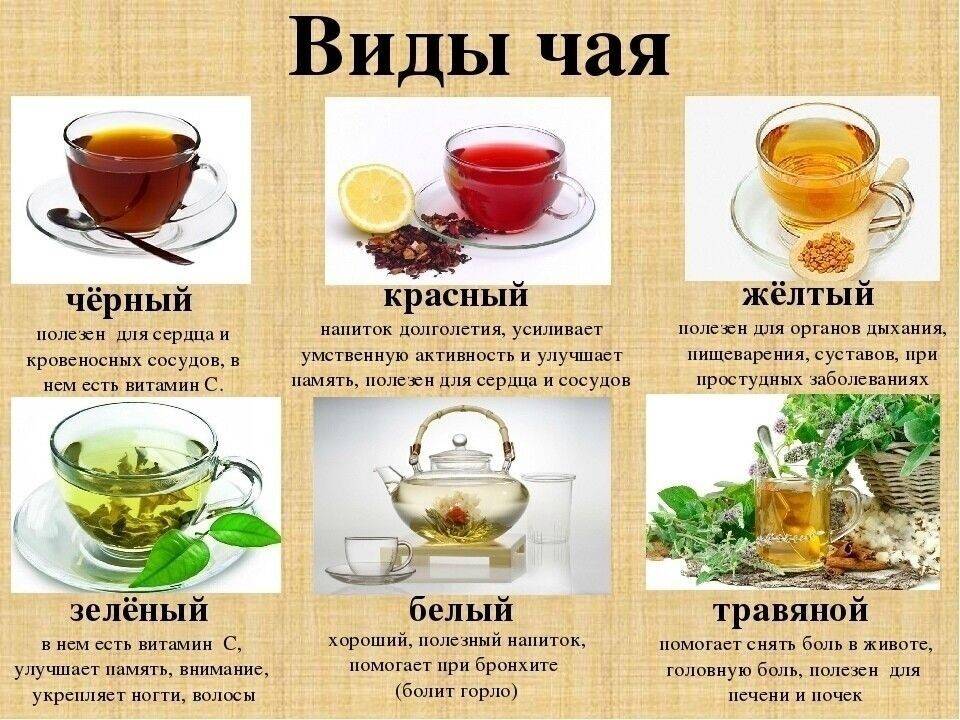 Какой чай полезнее: черный или зеленый? какой чай самый полезный?