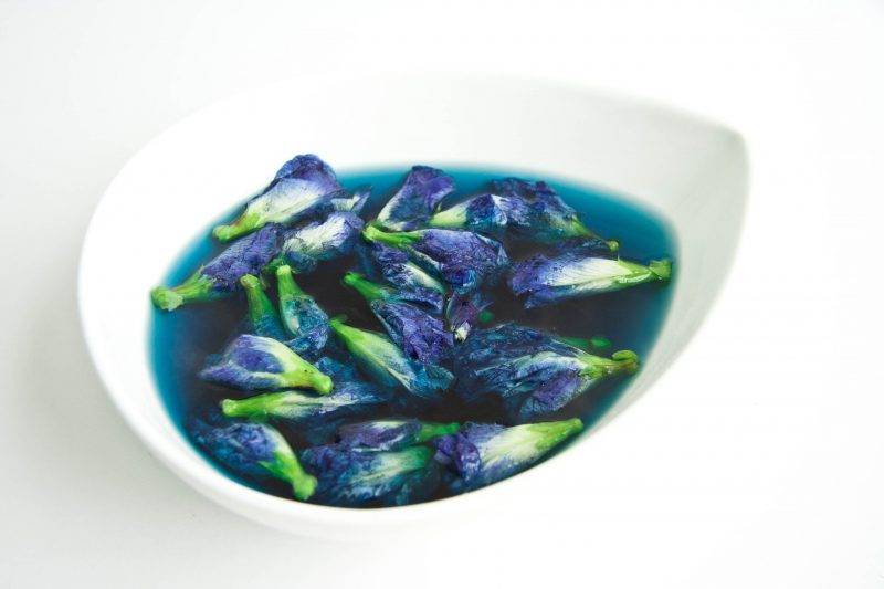 Синий чай из тайланда: полезные свойства и противопоказания