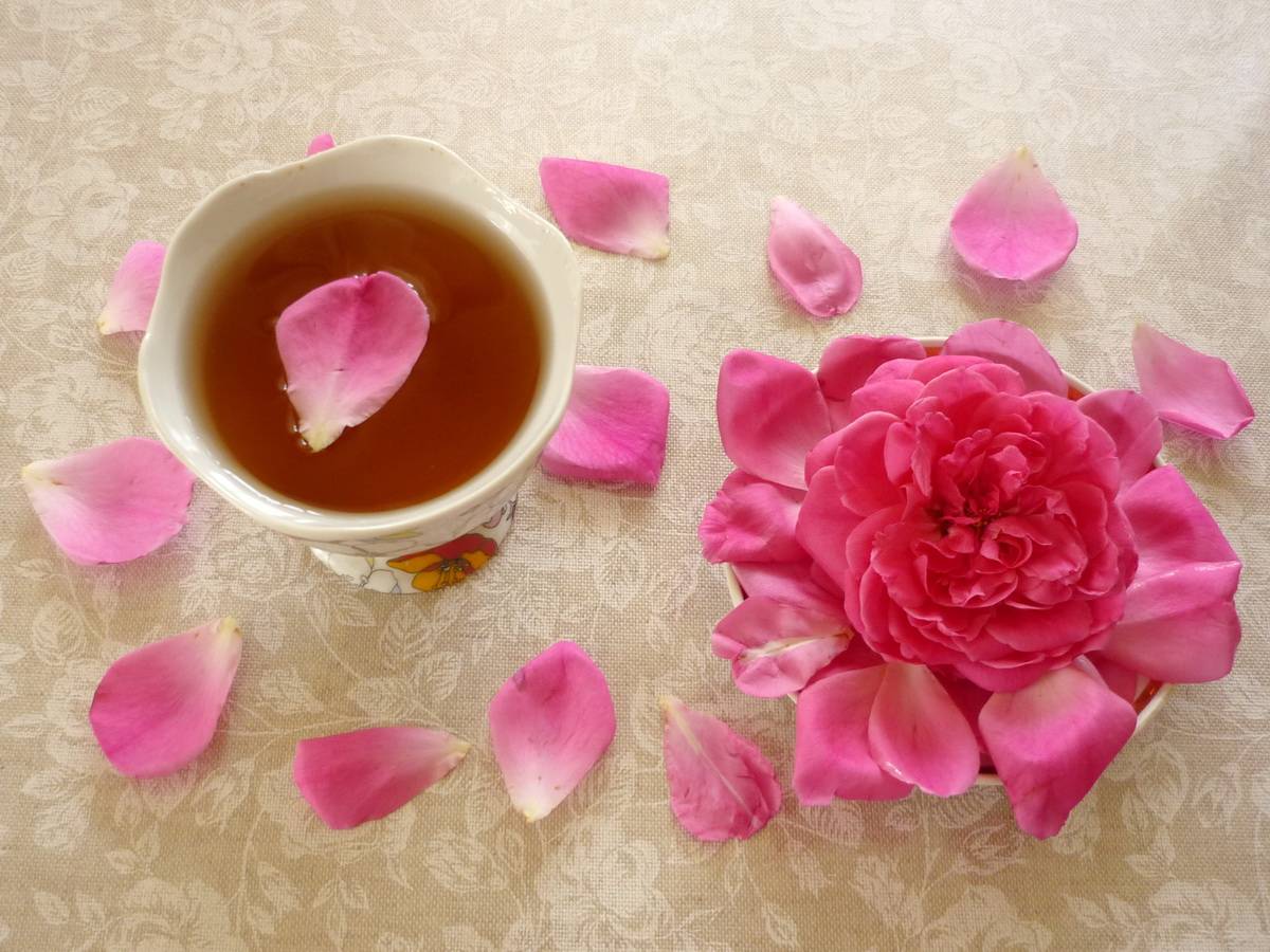 Заготовки из чайной розы для всей семьи