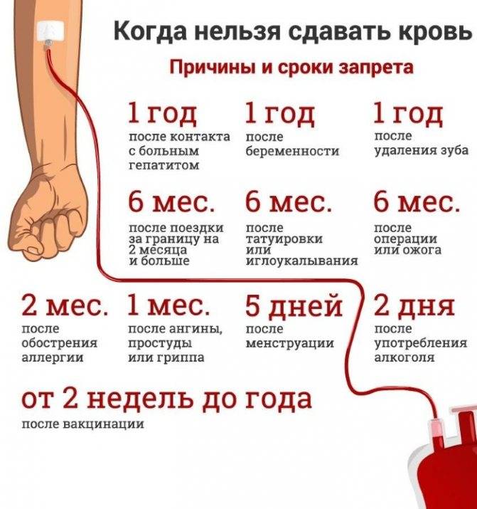 ✅ что нельзя есть перед сдачей крови на анализ - денталюкс.su