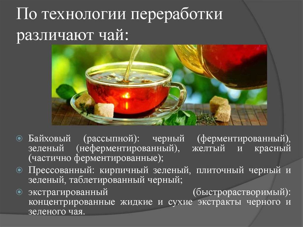 Байховый чай — что это такое, свойства, виды, ударение