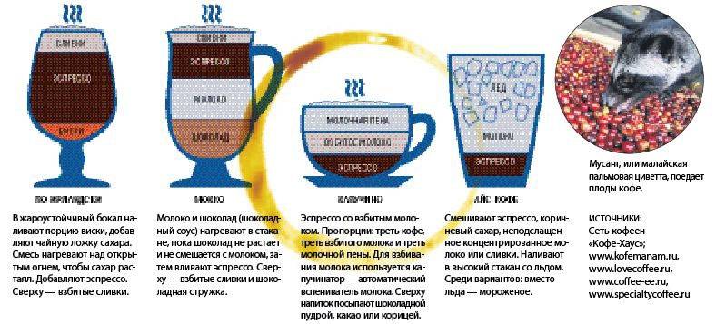 Кофе в кофеварке: как варить правильно, сколько ложек класть