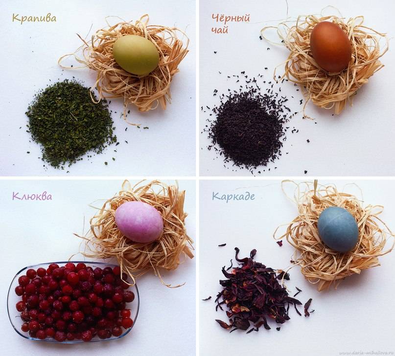 Как покрасить яйца свеклой, вином, чаем и ореховой скорлупой. как правильно красить яйца чаем и кофе