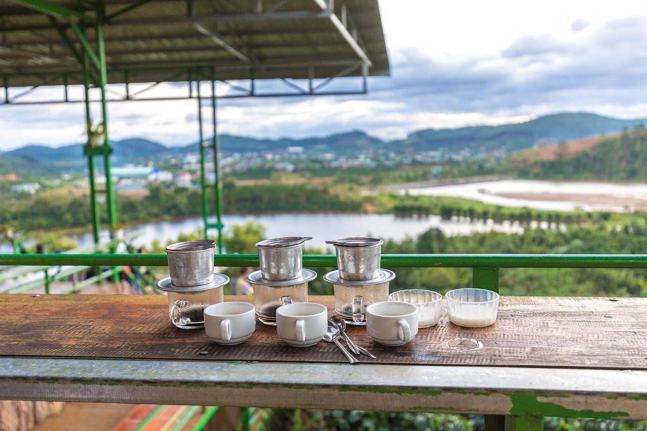 Вьетнамский кофе лювак: самый дорогой кофе из экскрементов