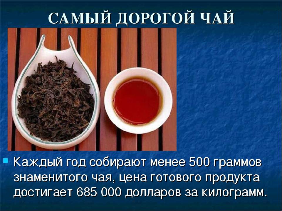 Самый дорогой в мире чай: где он произрастает, как называется