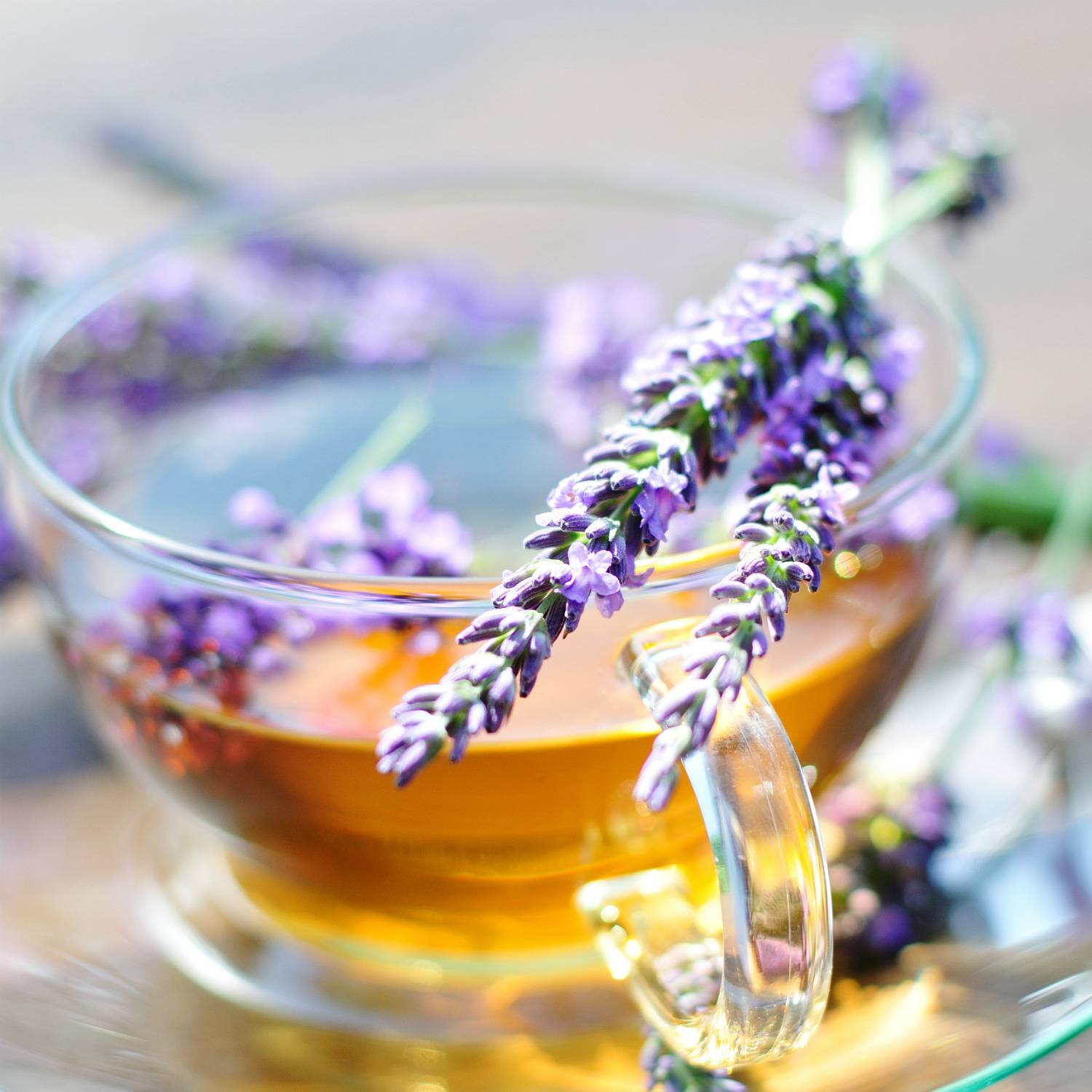 Ароматный цветок и вкусная приправа – как используют лаванду в кулинарии и медицине