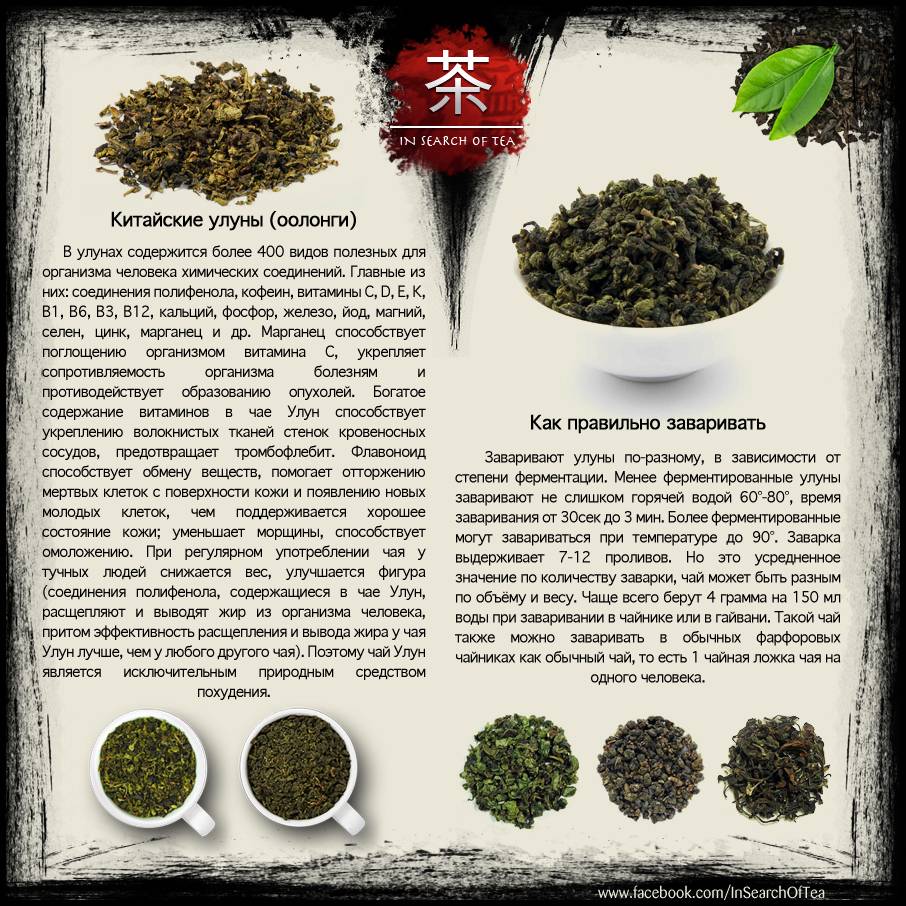 Чай улун (молочный, зеленый): польза и вред, что это такое, полезные свойства